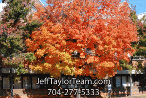 Charlotte Office Space